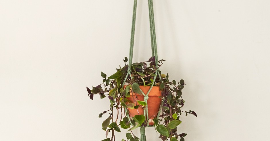 Make a Macrame Plant Hanger